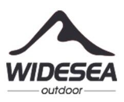 Логотип Widesea