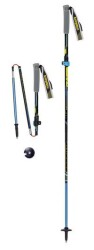 Трекинговые палки Masters Trecime Alu